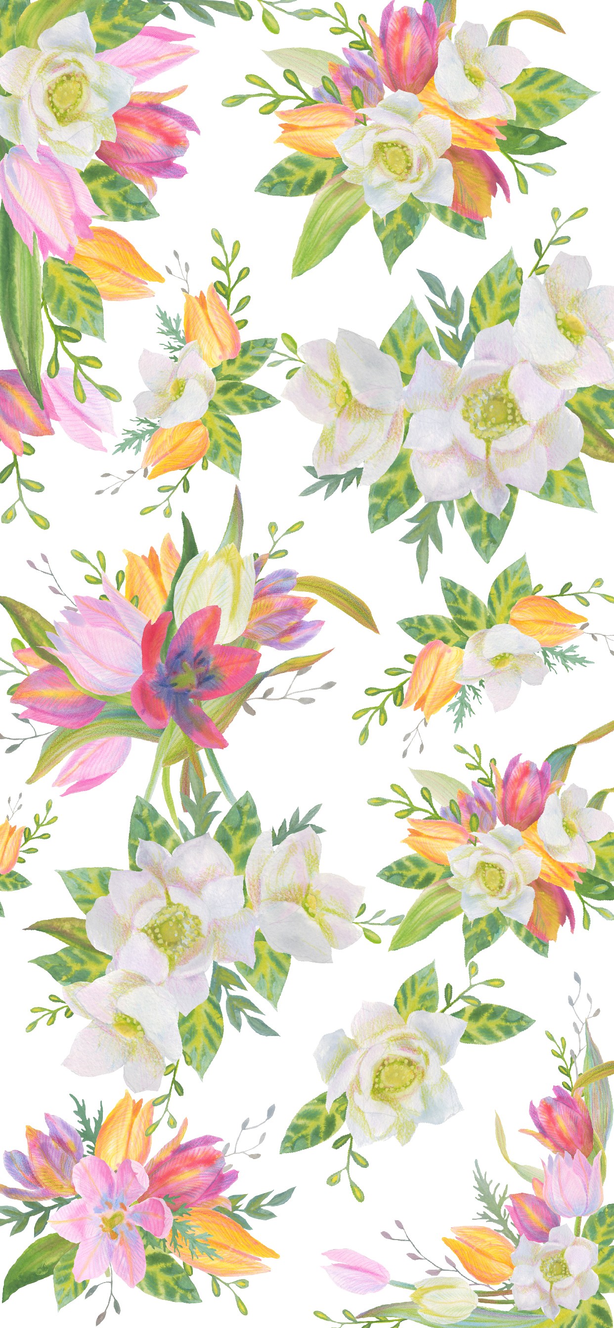 Tropical Flower Open , HD Wallpaper & Backgrounds