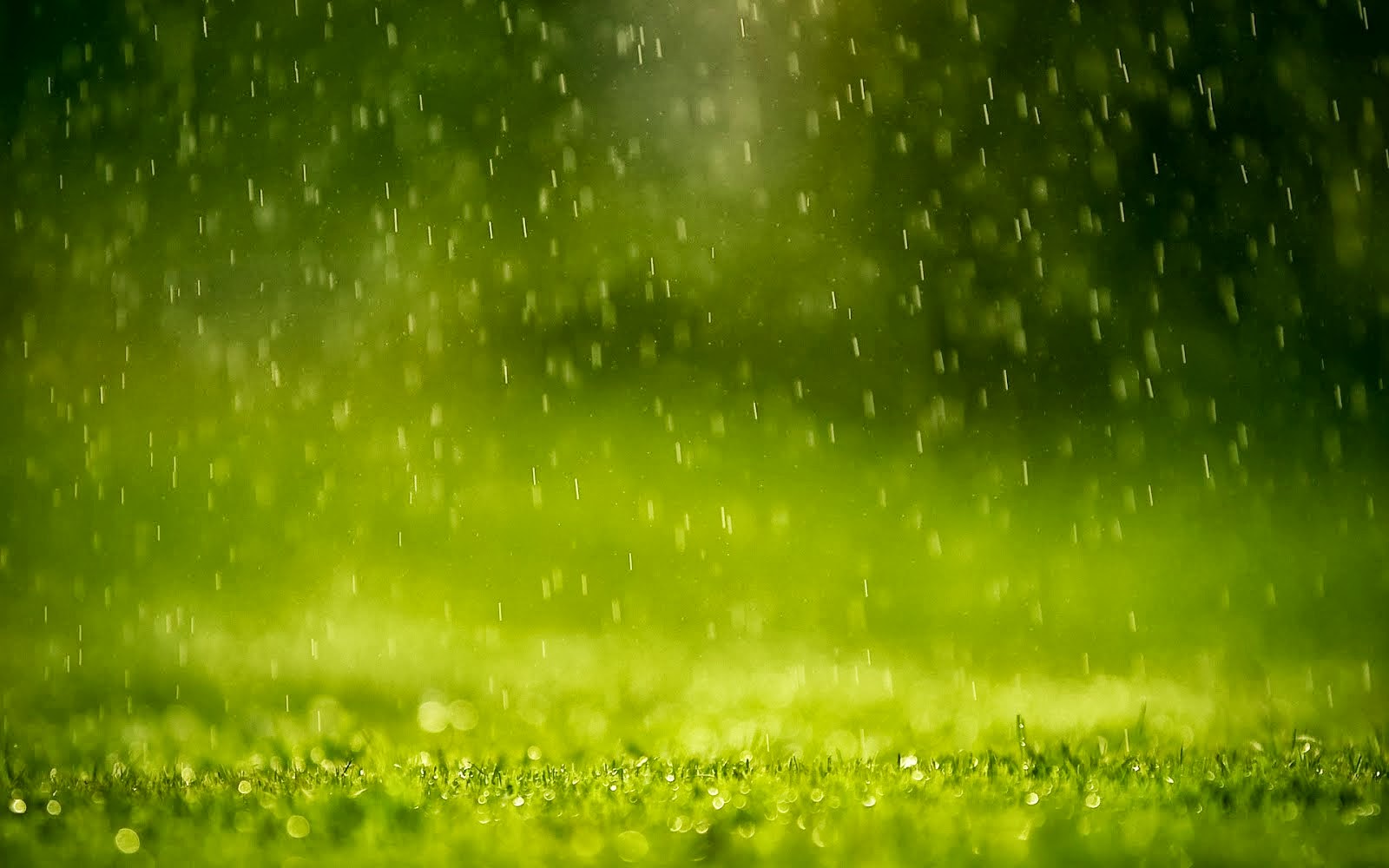 Green Rain , HD Wallpaper & Backgrounds