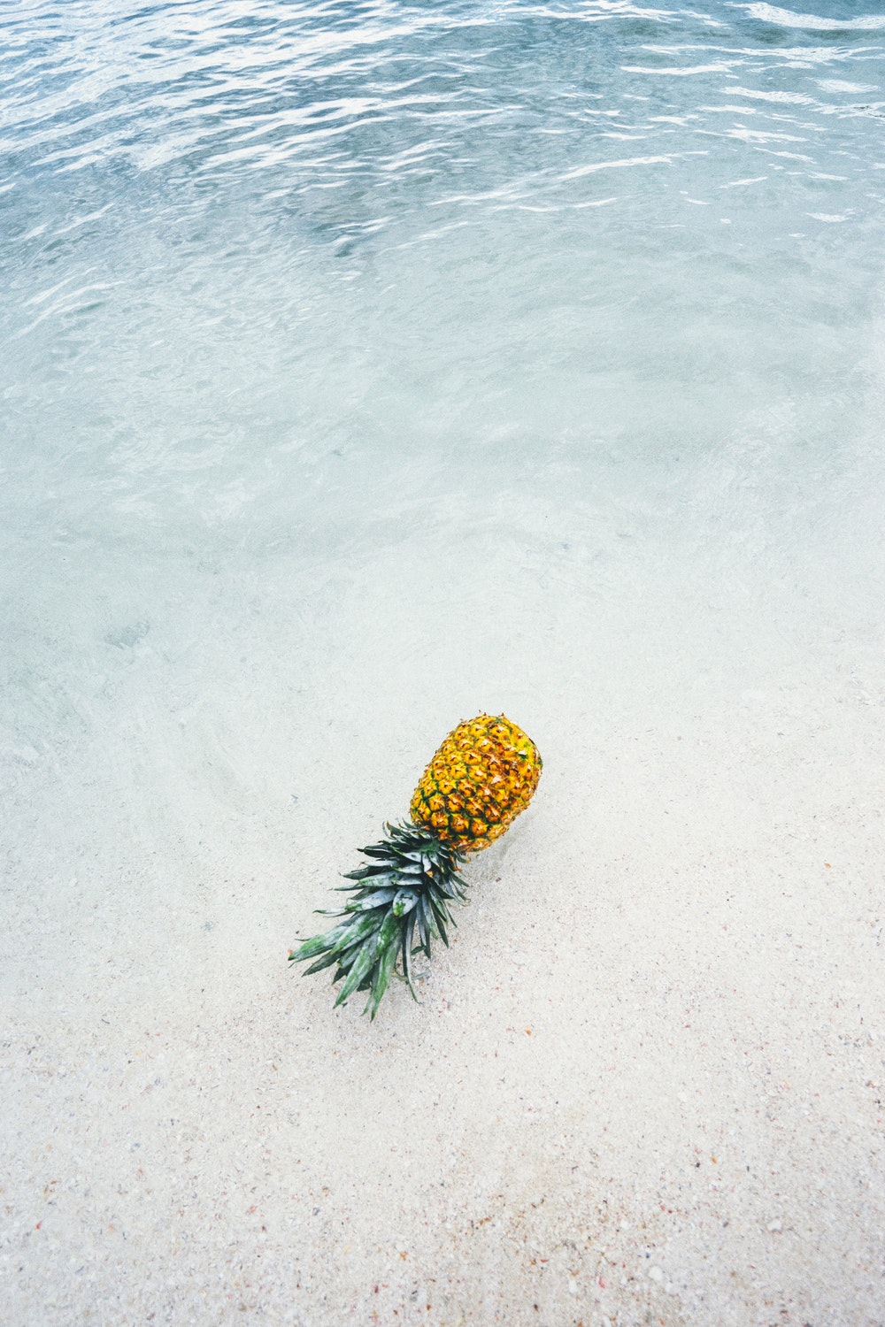 Pineapple In The Sea , HD Wallpaper & Backgrounds