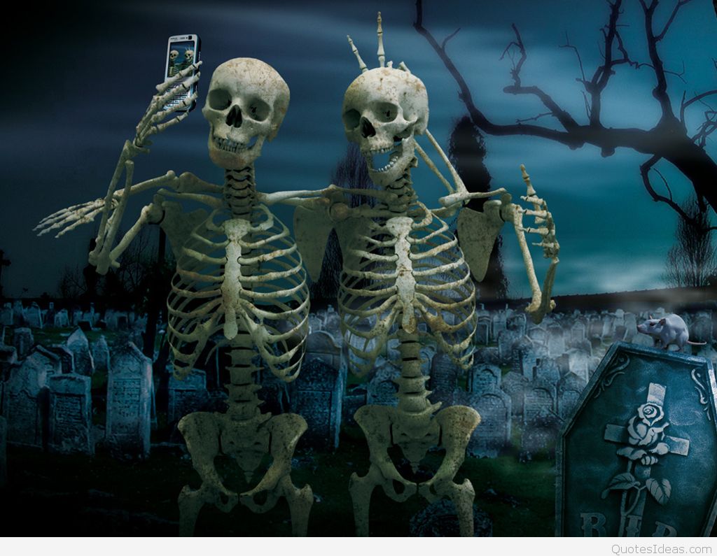 Halloween , HD Wallpaper & Backgrounds
