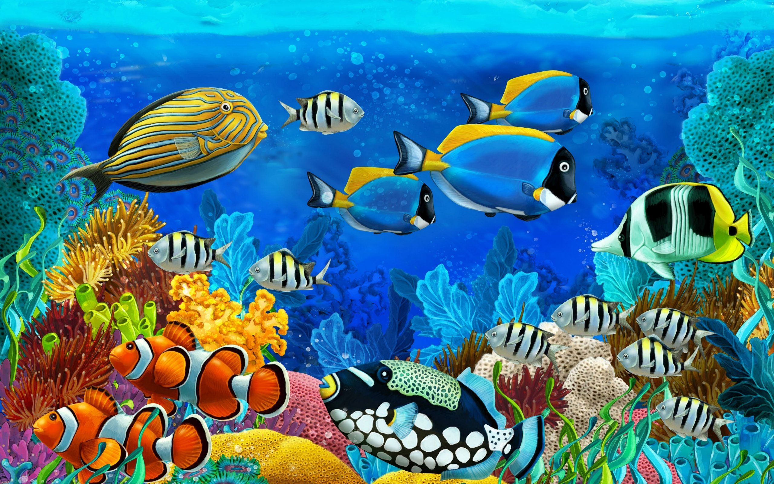 Fish Wallpaper , HD Wallpaper & Backgrounds