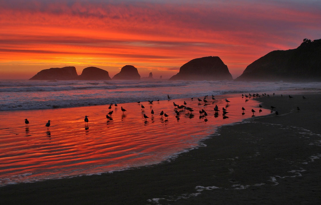 Cannon Beach Oregon Sunset , HD Wallpaper & Backgrounds