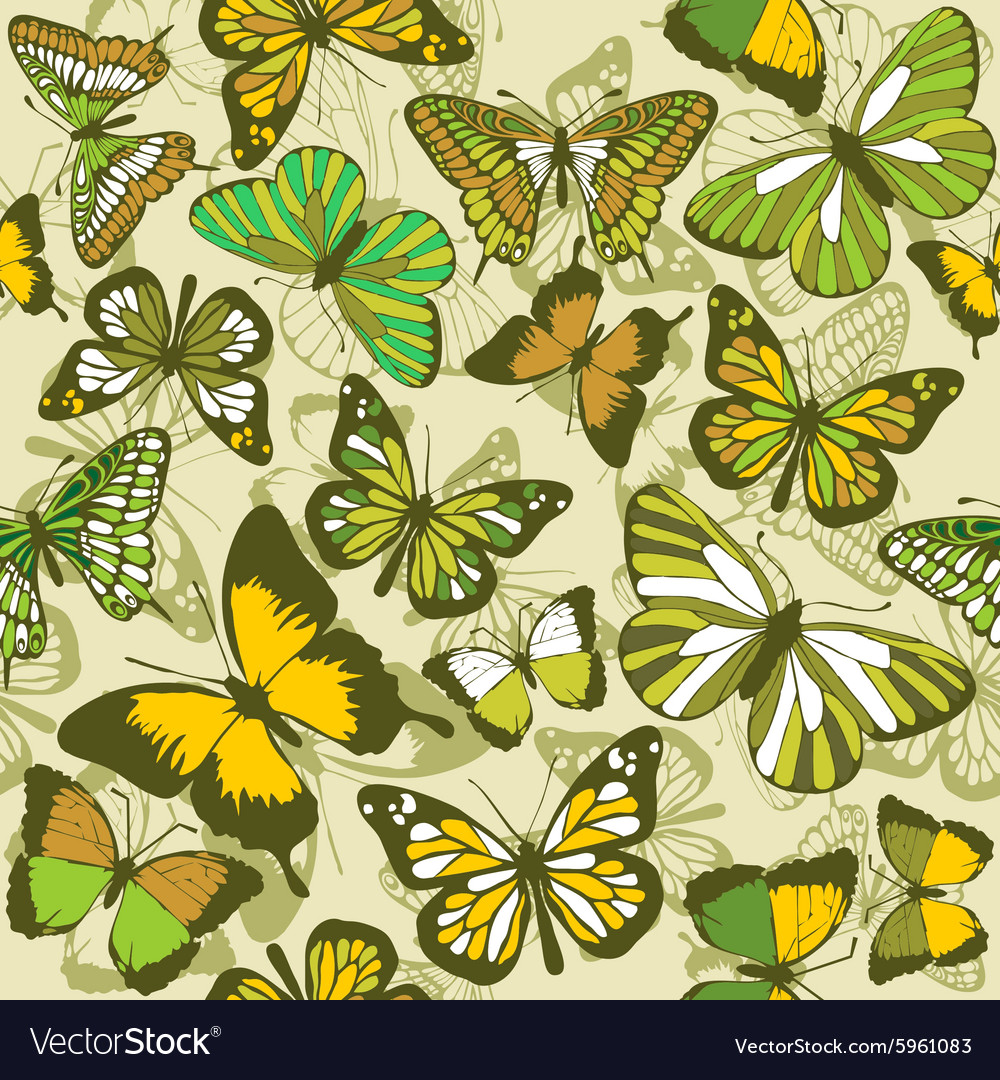 Butterfly Wallpaper Green , HD Wallpaper & Backgrounds