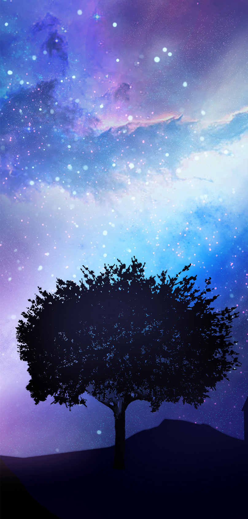 Tree , HD Wallpaper & Backgrounds