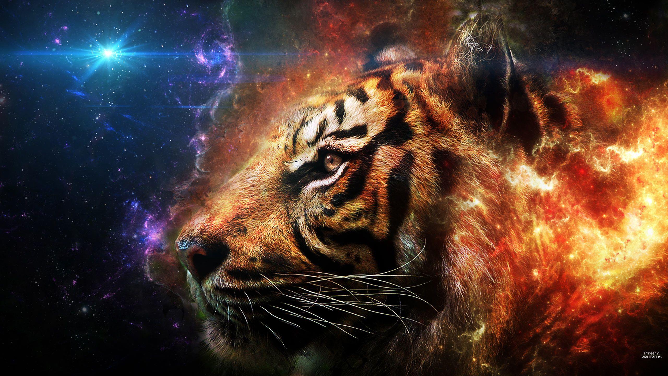 Fire Tiger Hd , HD Wallpaper & Backgrounds