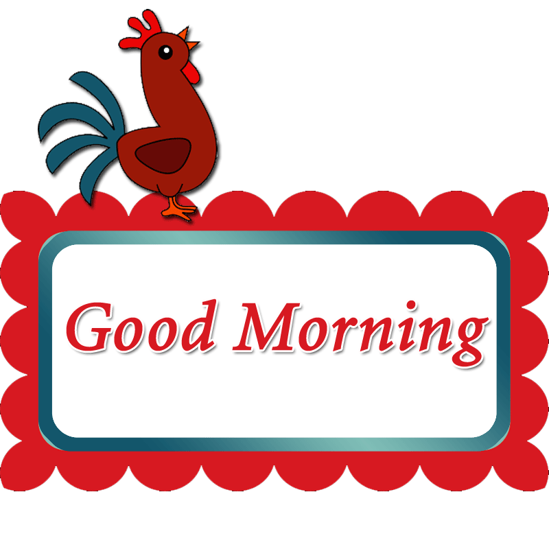 Gif Good Morning Rooster , HD Wallpaper & Backgrounds