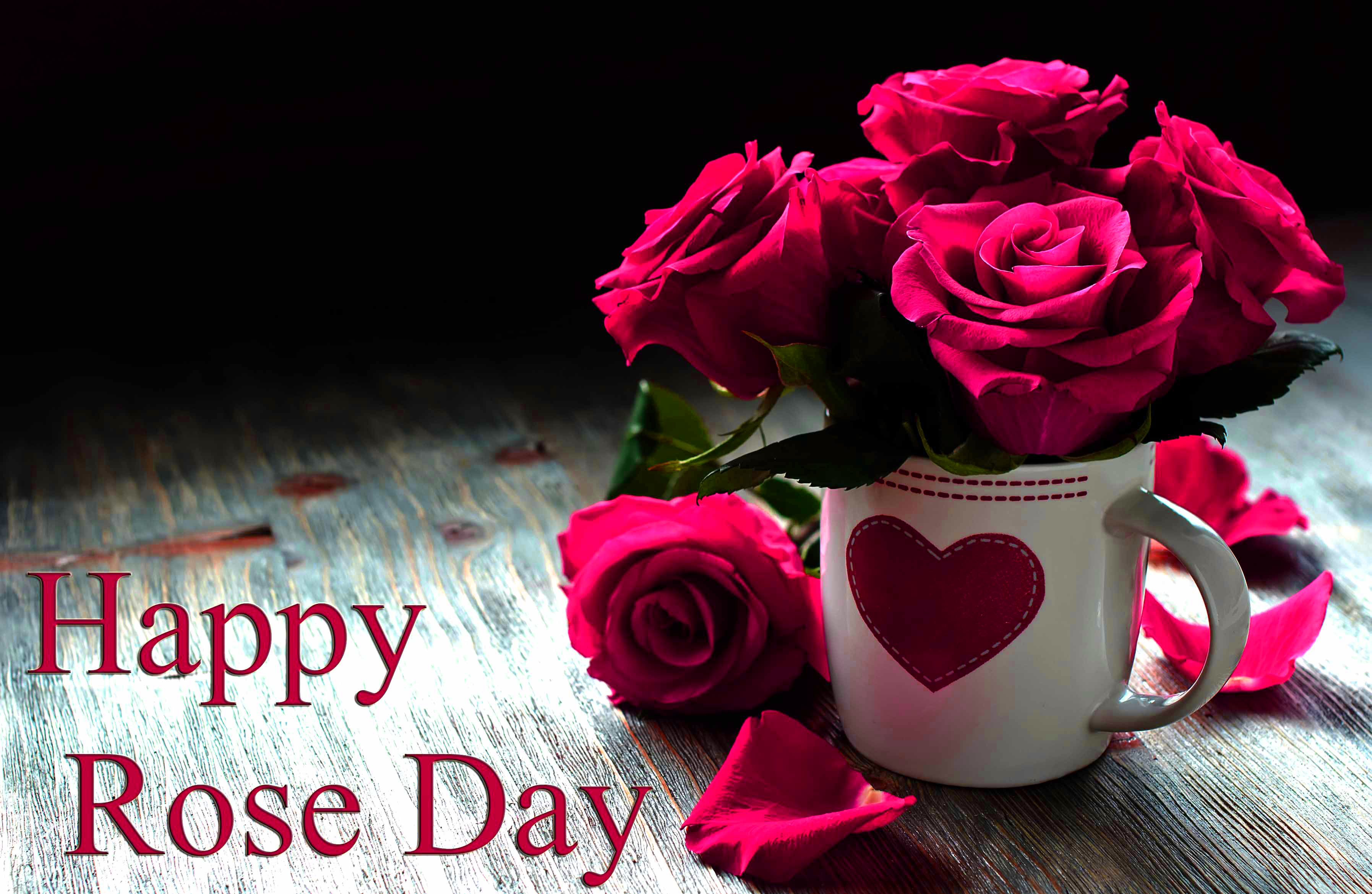 Rose Day Images Full Hd , HD Wallpaper & Backgrounds