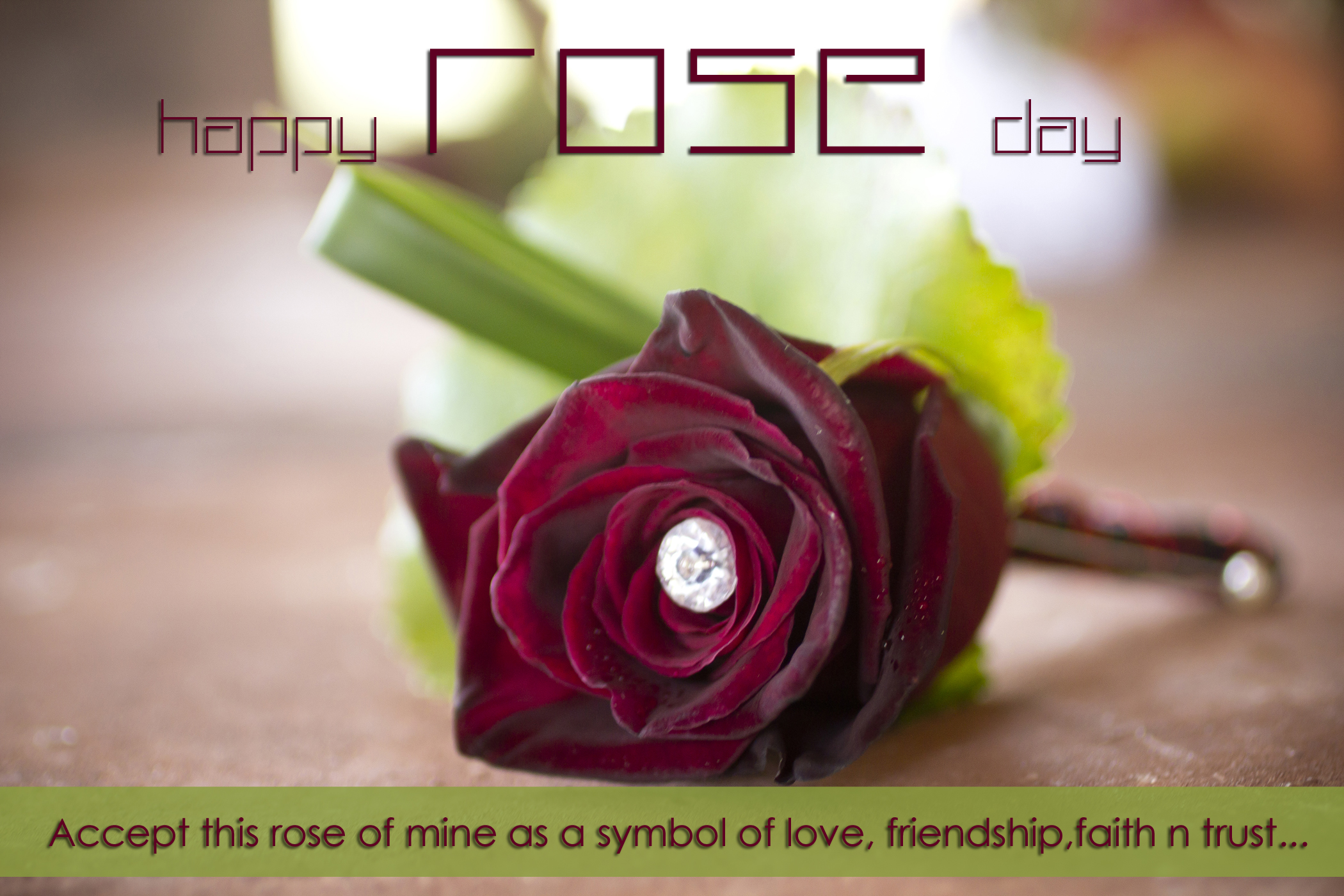 Happy Rose Day Hd , HD Wallpaper & Backgrounds