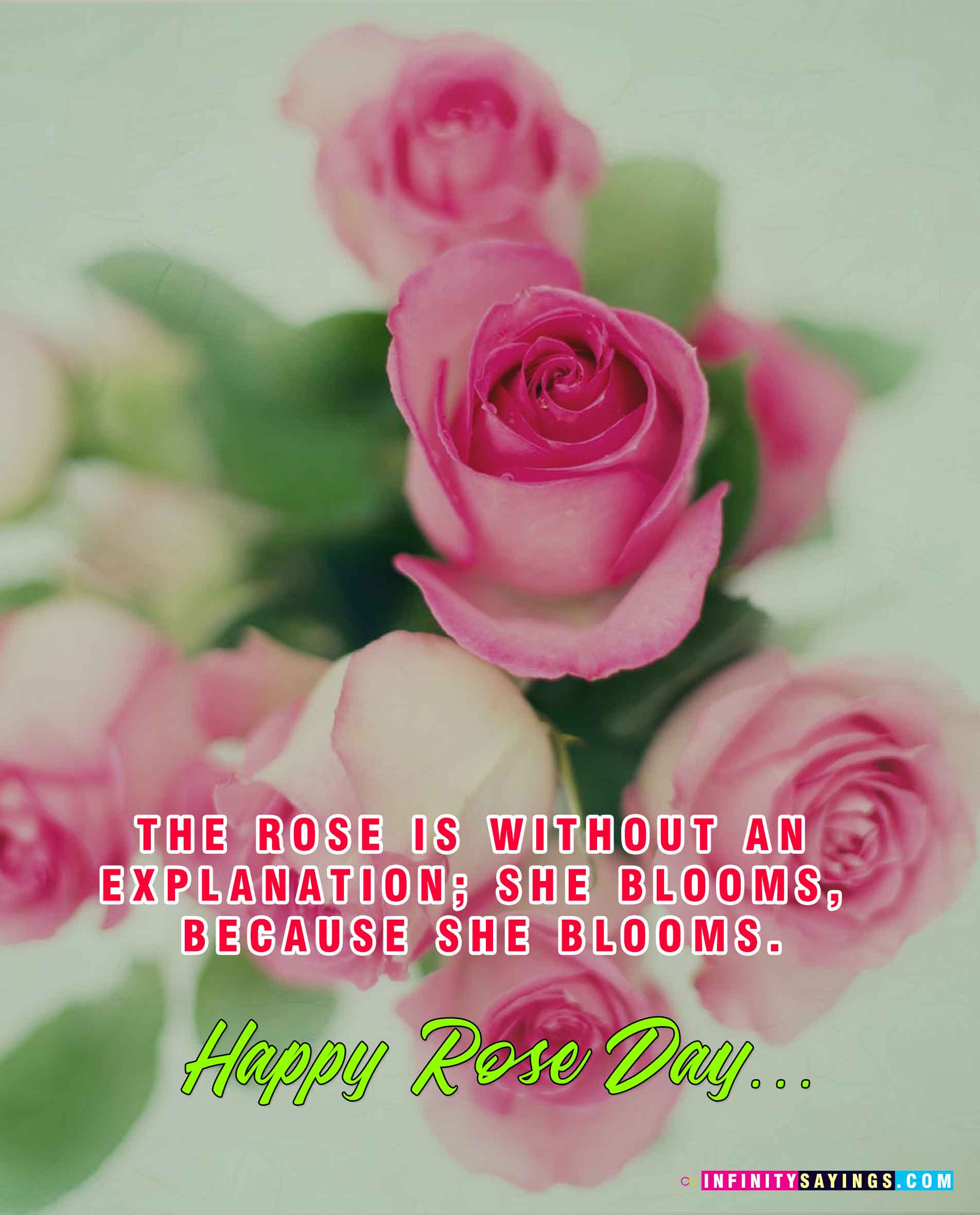 Rose Good Morning Flowers , HD Wallpaper & Backgrounds