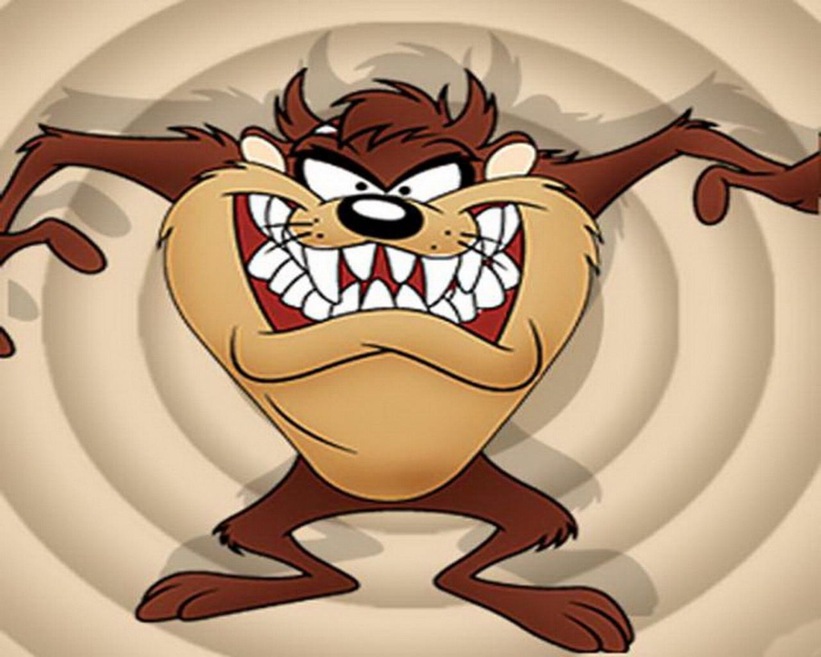 Looney Tunes Tasmanian Devil Cartoon , HD Wallpaper & Backgrounds