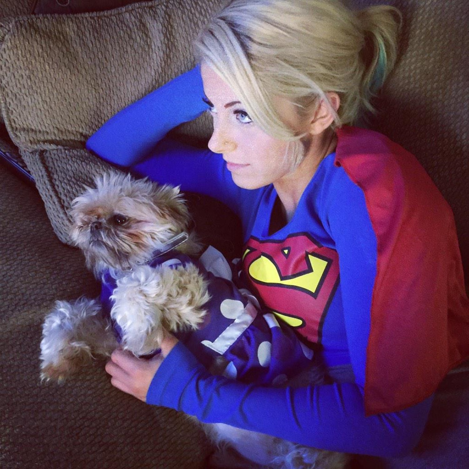 Alexa Bliss And Her Pets , HD Wallpaper & Backgrounds