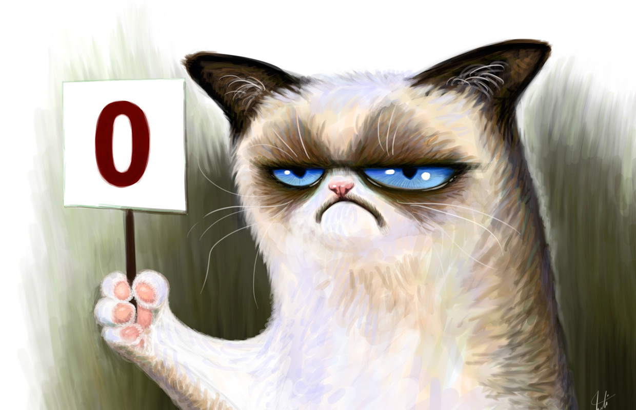 Grumpy Cat 0 Sign , HD Wallpaper & Backgrounds