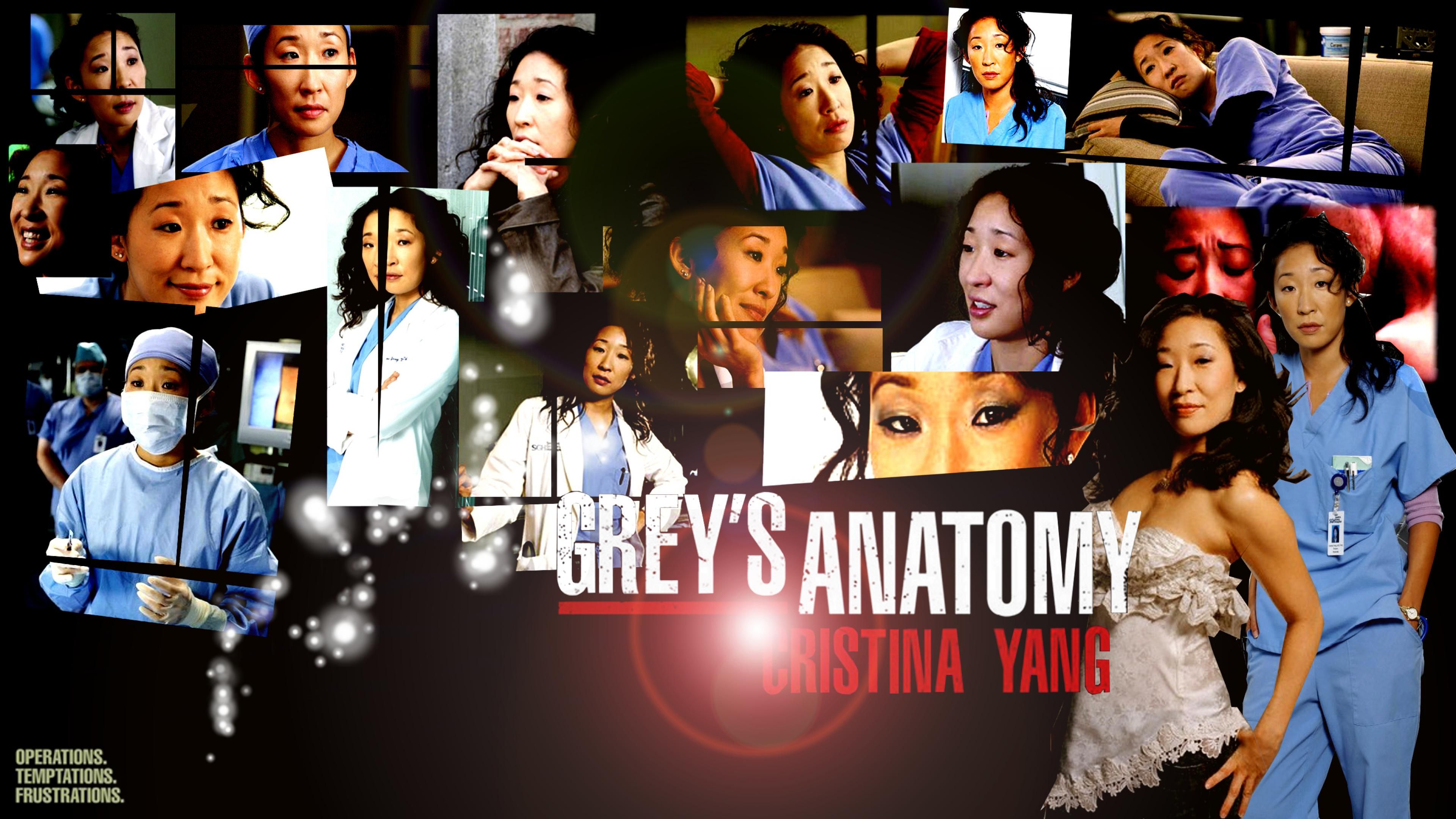Greys Anatomy Computer Background , HD Wallpaper & Backgrounds