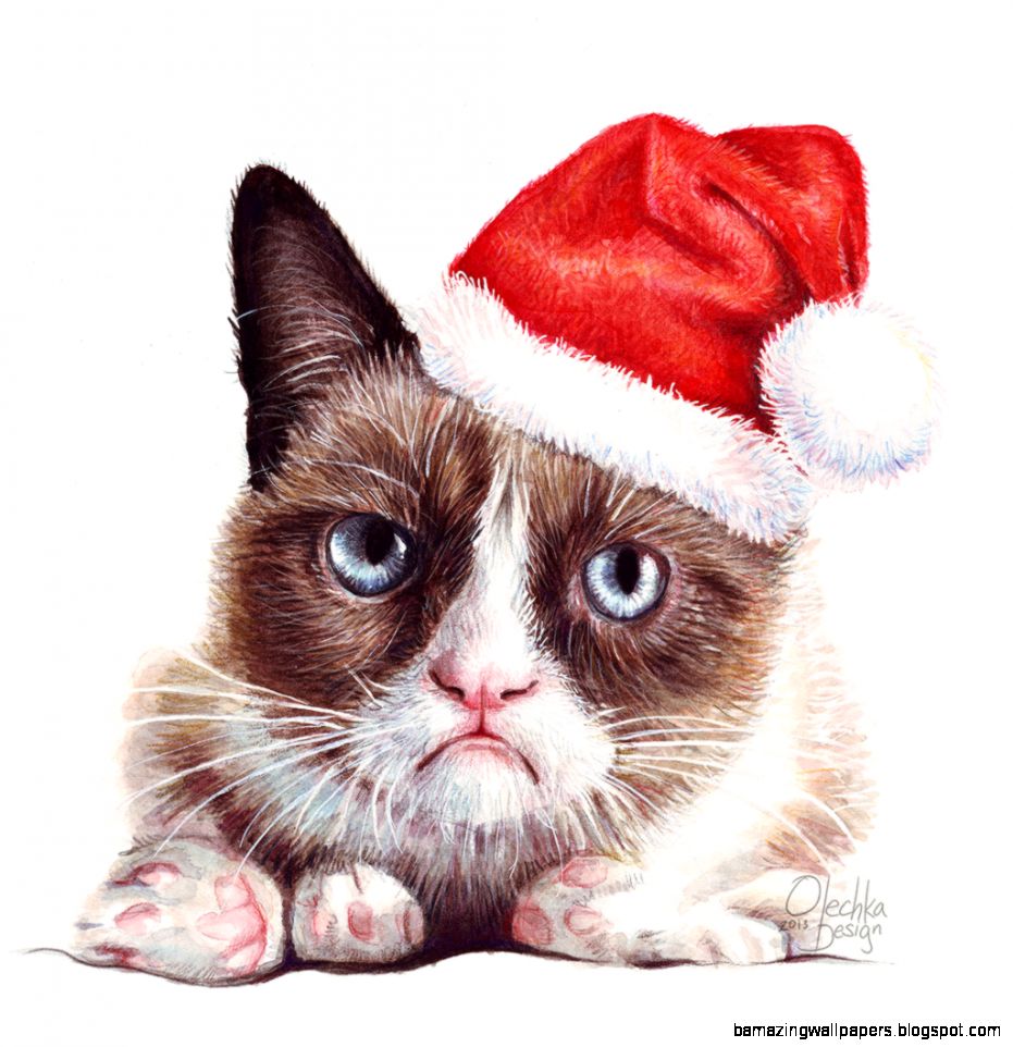Santa And Grumpy Cat , HD Wallpaper & Backgrounds