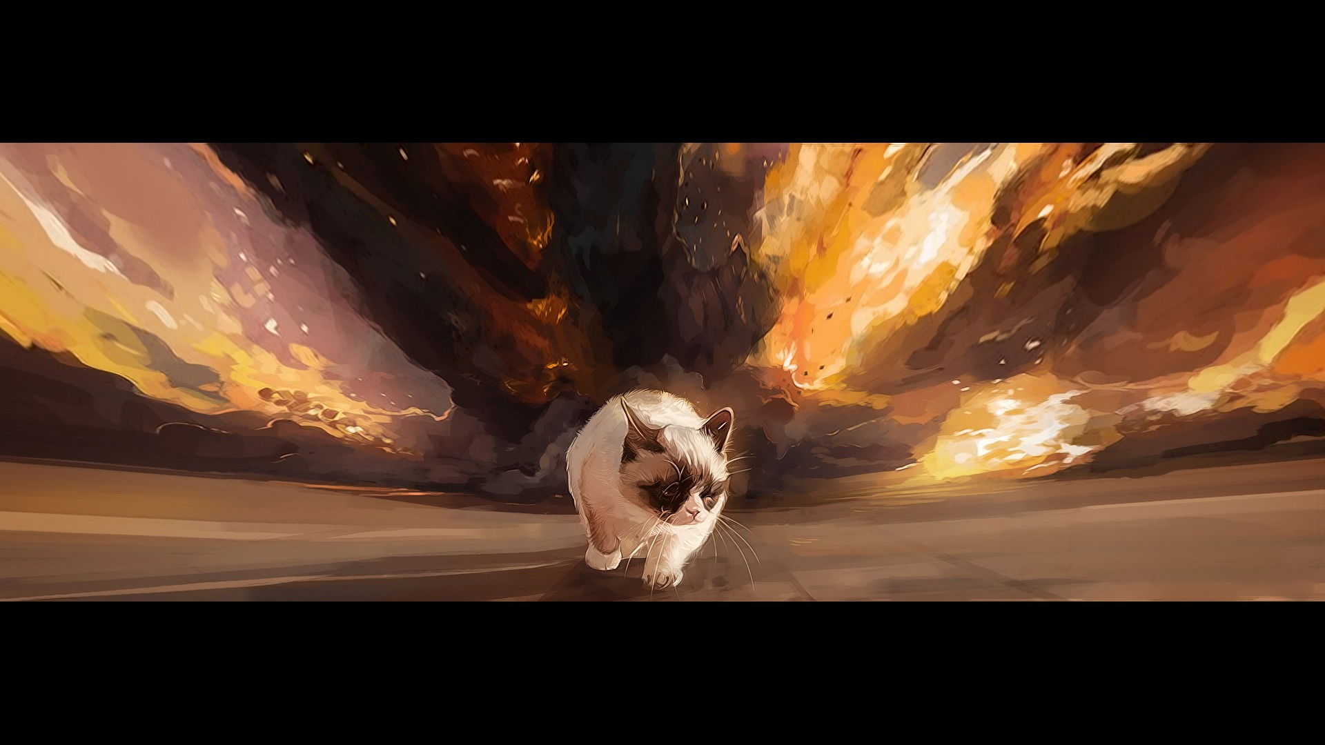 Explosion Cat , HD Wallpaper & Backgrounds