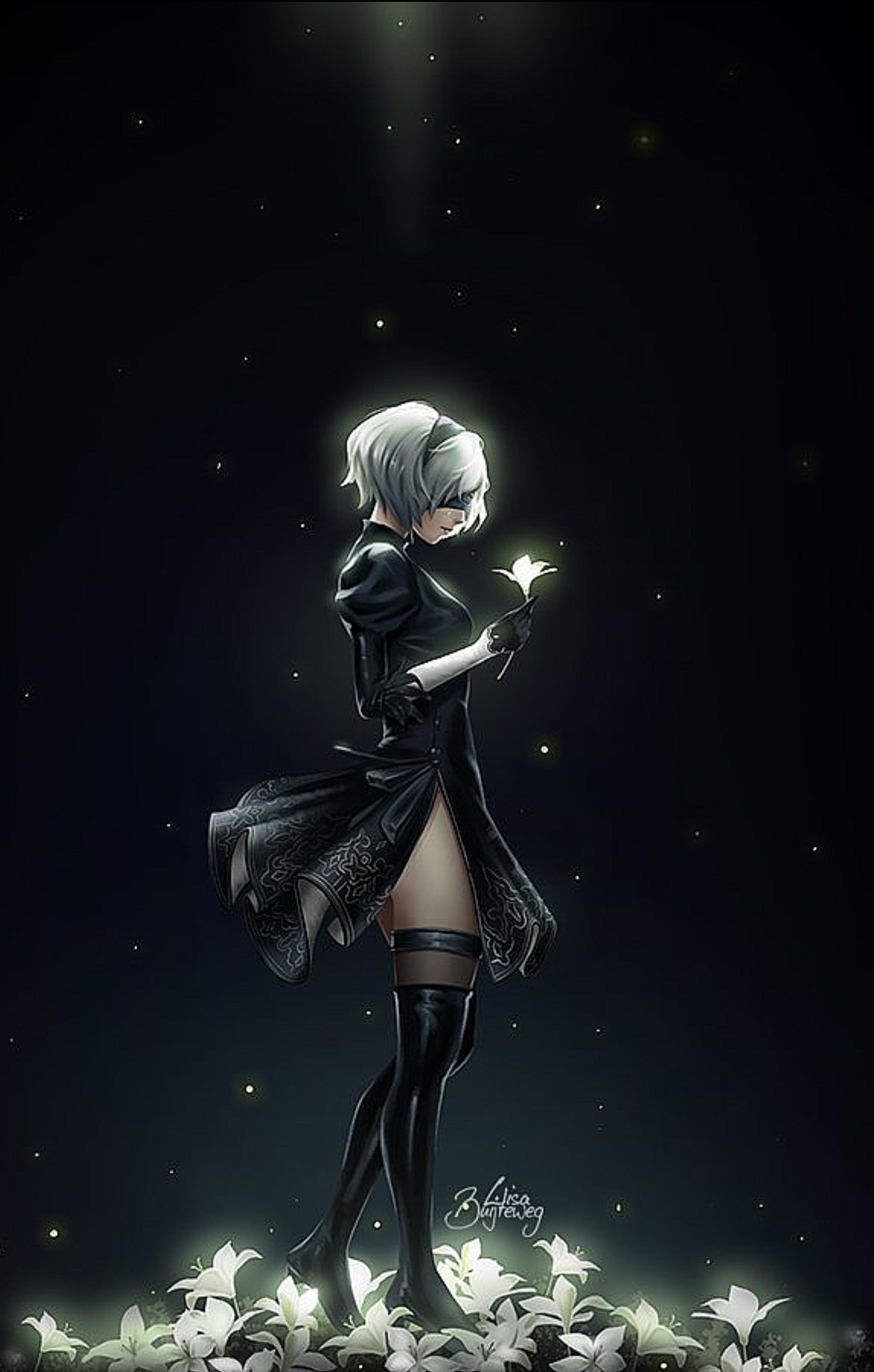 Nier Automata A2 2b 9s , HD Wallpaper & Backgrounds