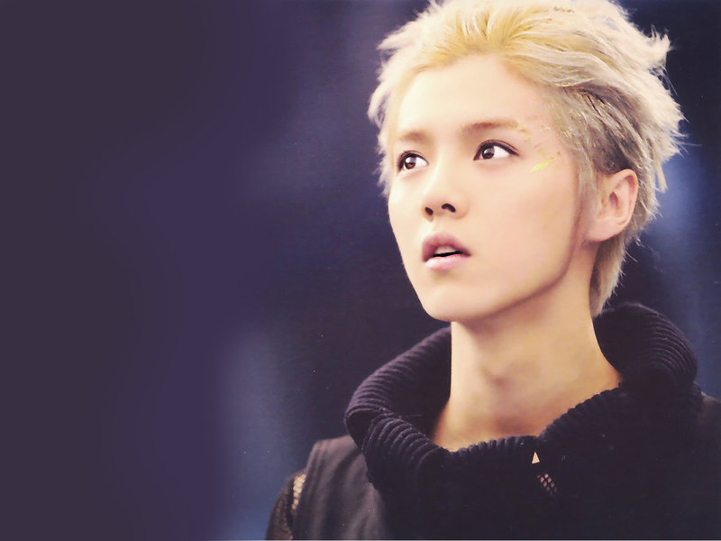 Exo Wolf Luhan , HD Wallpaper & Backgrounds