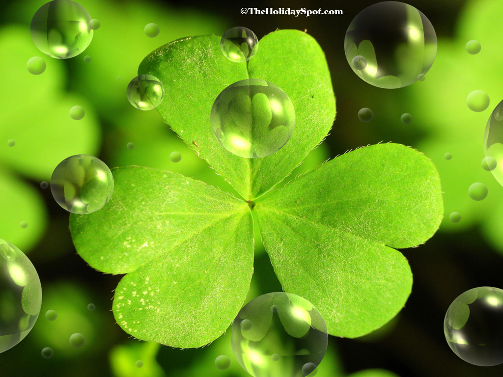 luke wadding st patricks day backgrounds