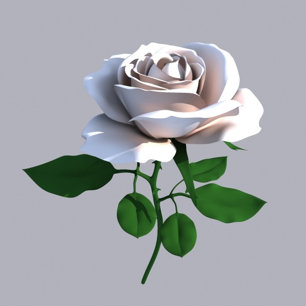 3d Rose Wallpapers Free Download , HD Wallpaper & Backgrounds
