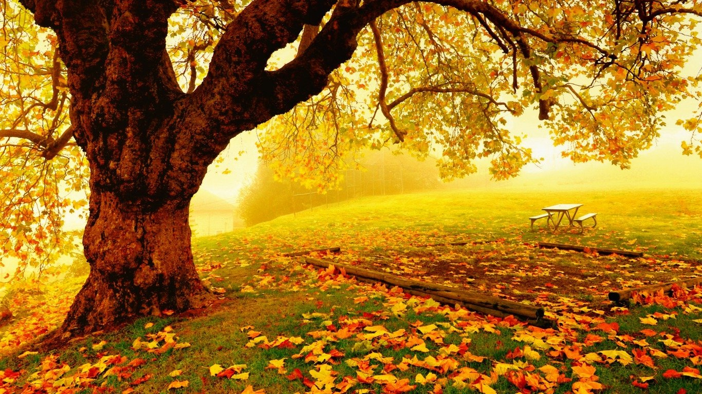 Pretty Autumn Backgrounds (#2330831) - HD Wallpaper & Backgrounds Download