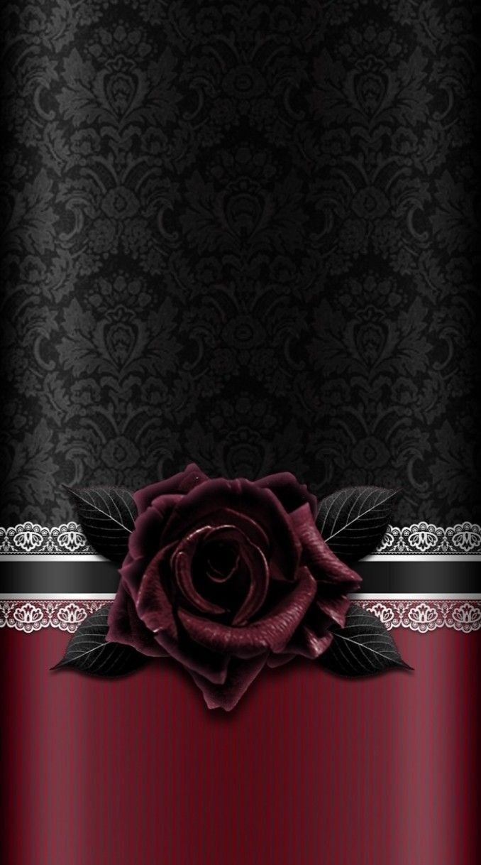 Luxury Black Rose Background , HD Wallpaper & Backgrounds