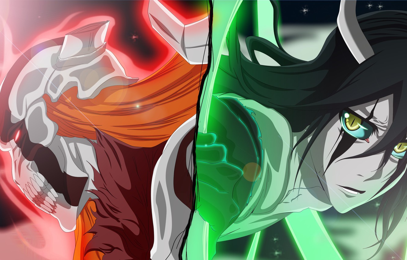 Ulquiorra Vs Ichigo , HD Wallpaper & Backgrounds