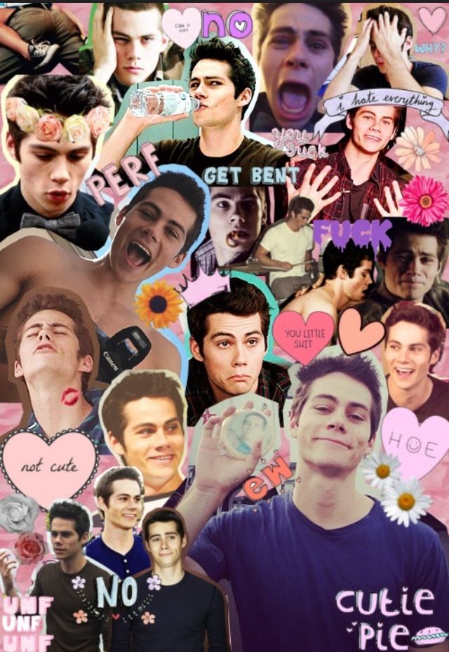 Dylan O Brien Collage , HD Wallpaper & Backgrounds