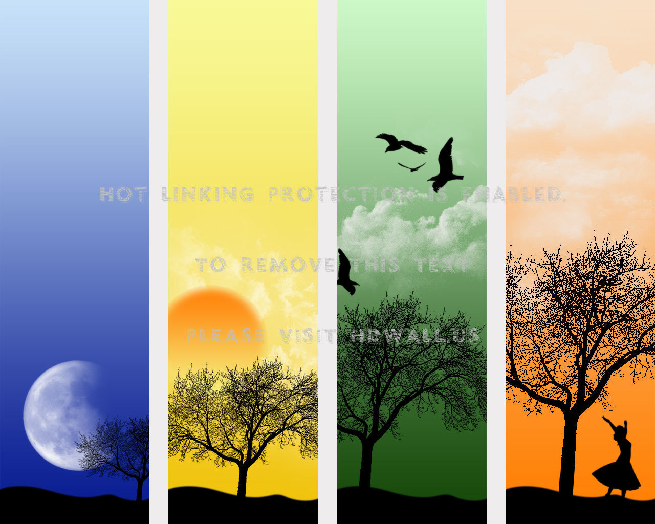 Tree Silhouette , HD Wallpaper & Backgrounds