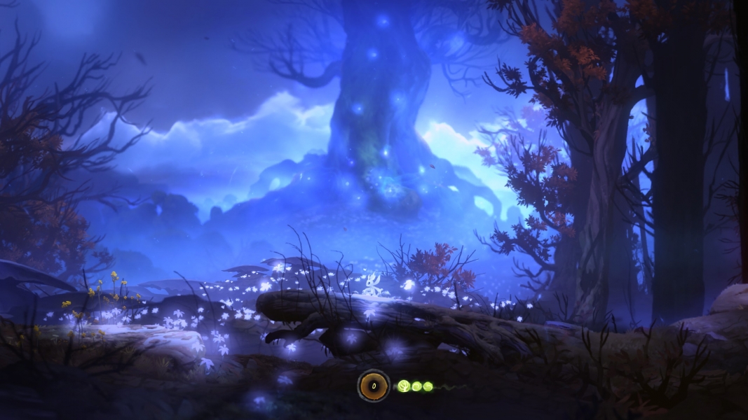 Ori And The Blind Forest Widescreen , HD Wallpaper & Backgrounds
