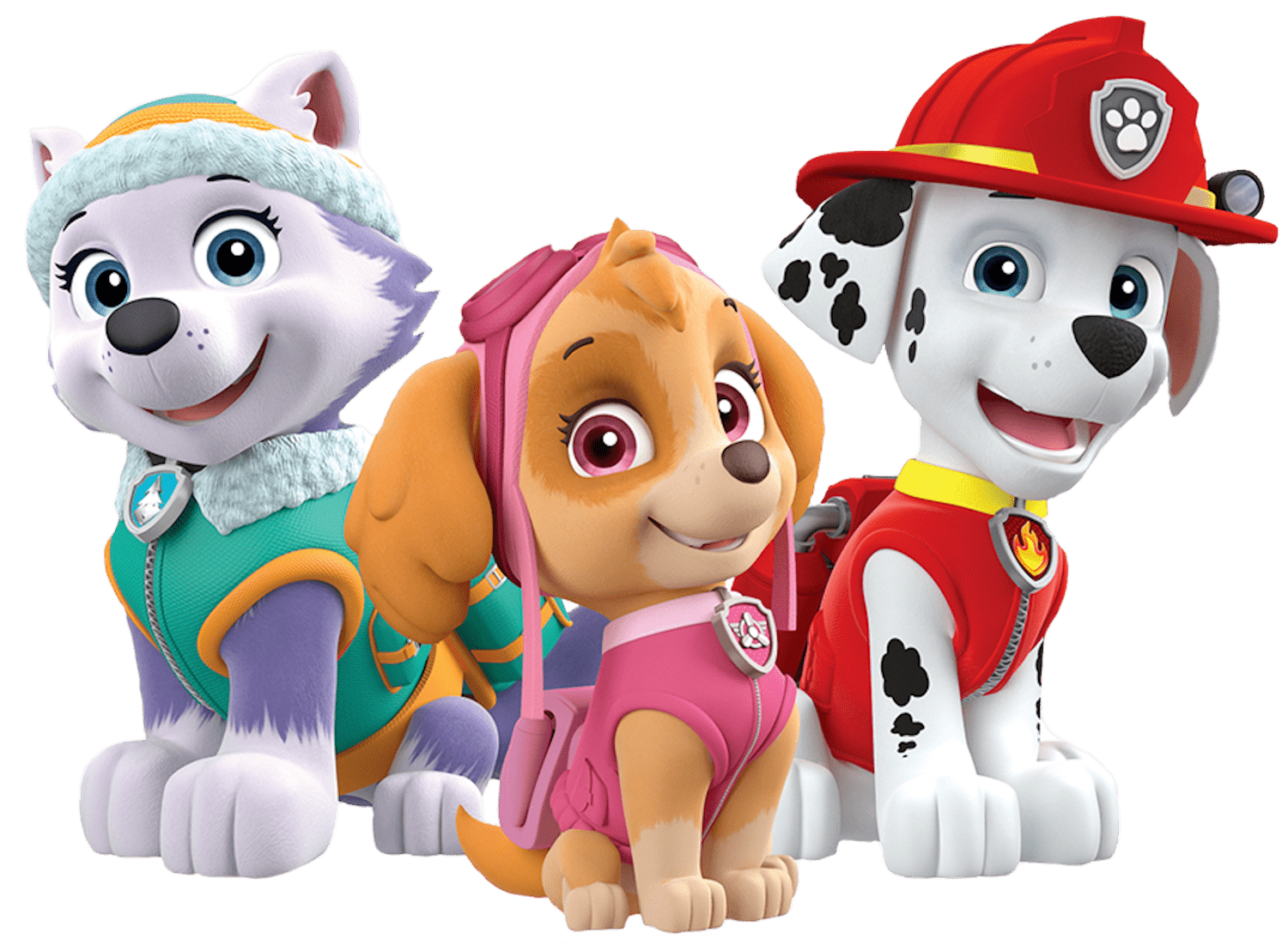 Paw Patrol Girl Invitation Template , HD Wallpaper & Backgrounds