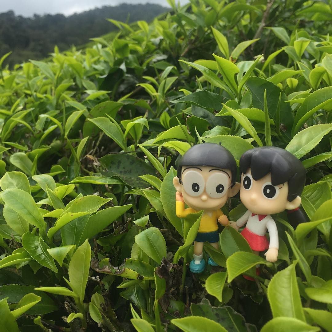 Nobita And Shizuka Love Scene , HD Wallpaper & Backgrounds