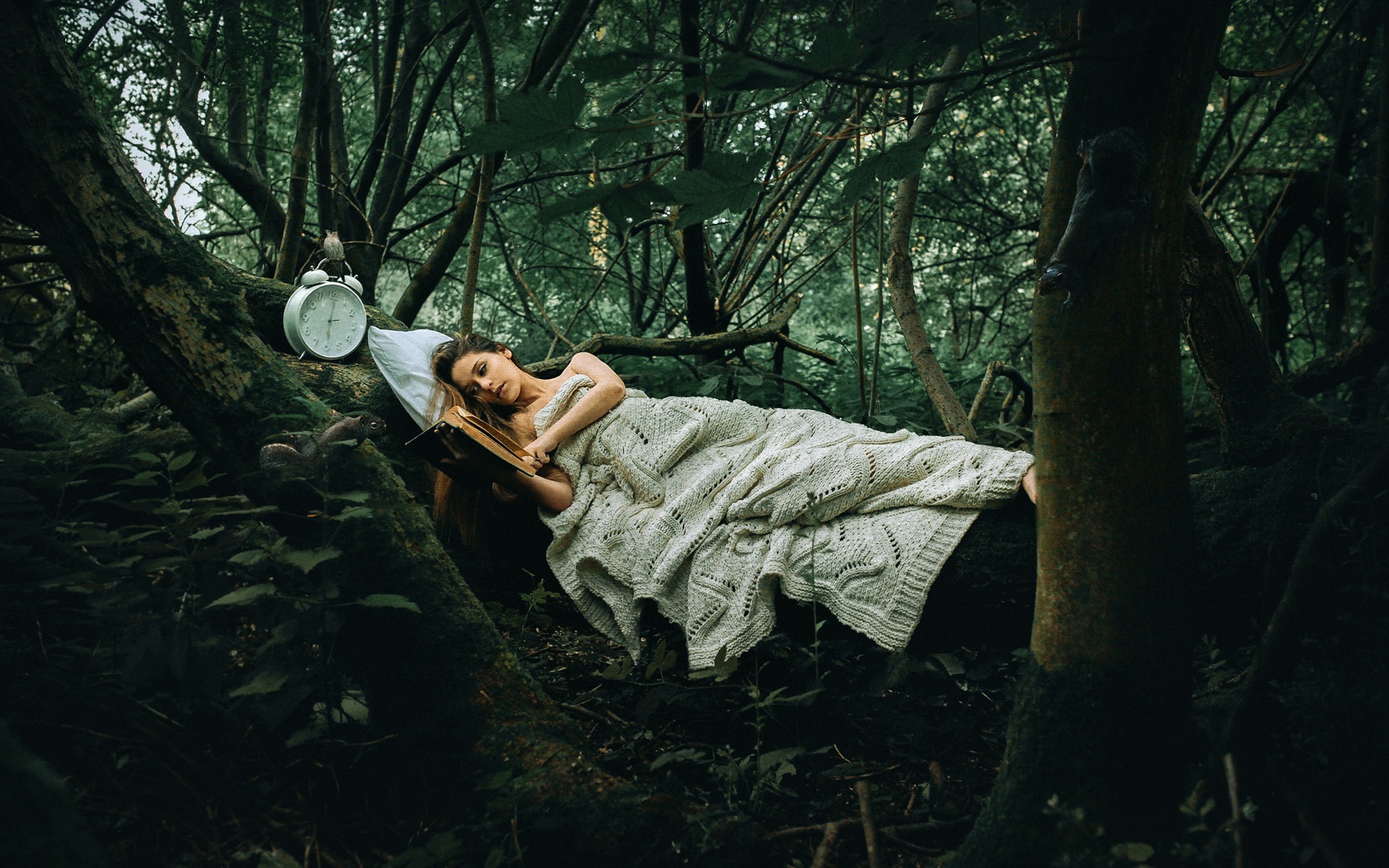 Sleeping In A Forest , HD Wallpaper & Backgrounds