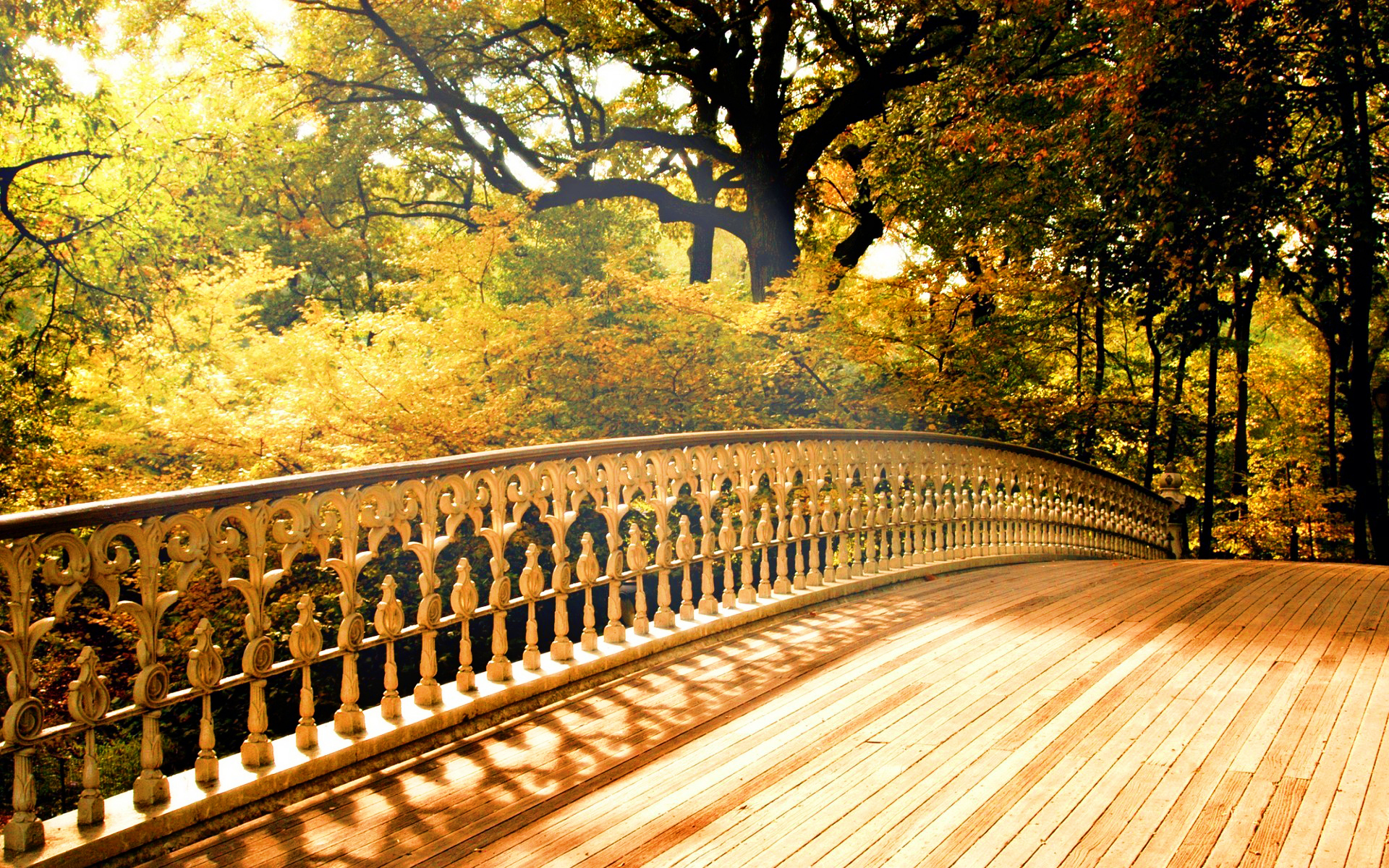 Natural Png Hd Background 2342885 Hd Wallpaper Backgrounds Download