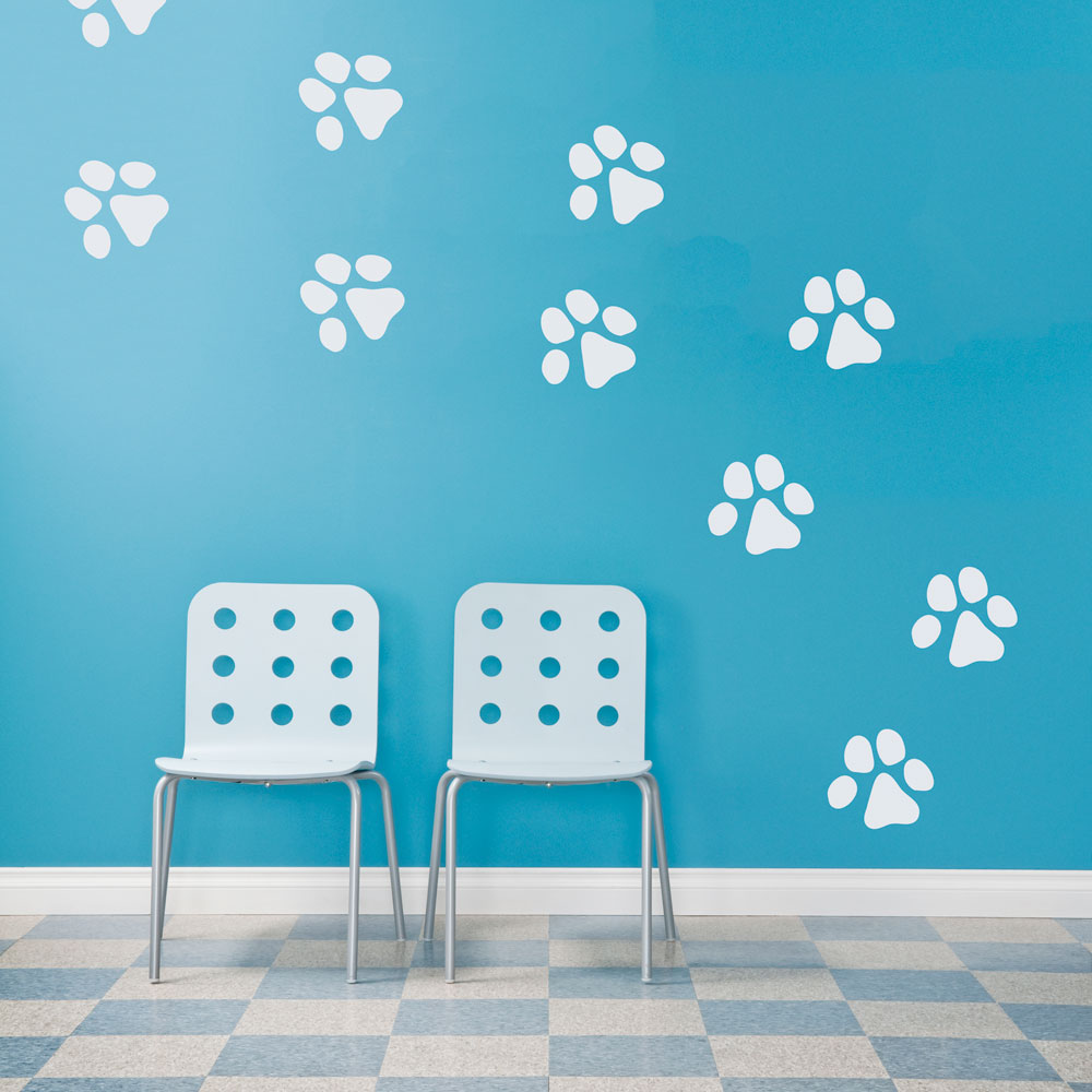 Paw Print Wall , HD Wallpaper & Backgrounds