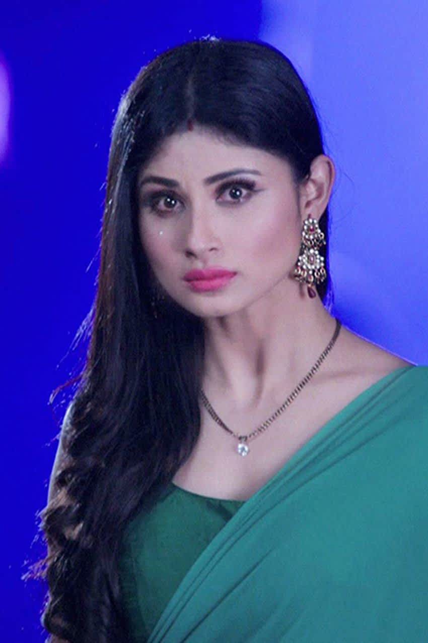 Naagin Season 1 Shivanya , HD Wallpaper & Backgrounds