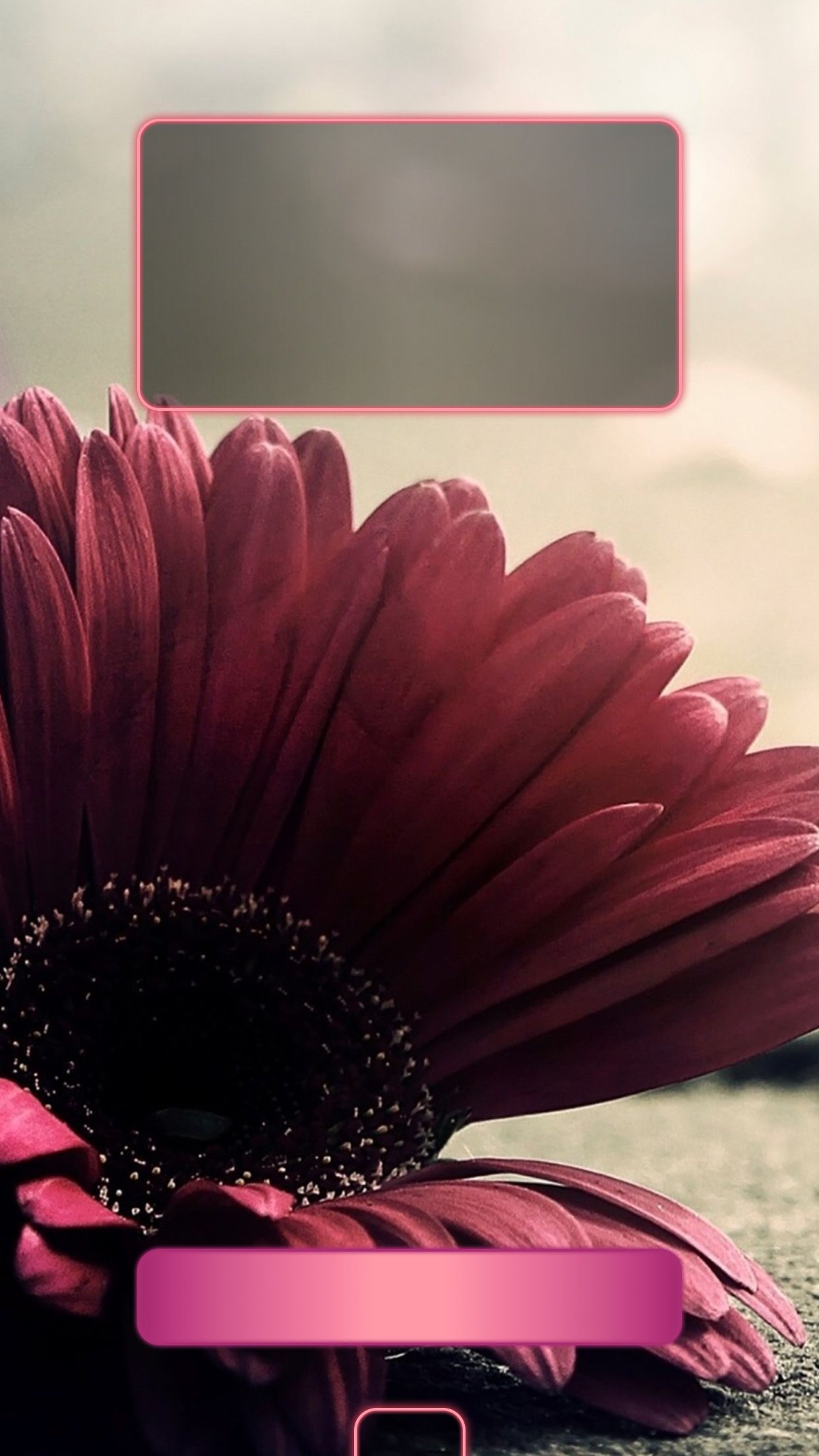 Samsung Galaxy J5 Wallpaper Flowers , HD Wallpaper & Backgrounds