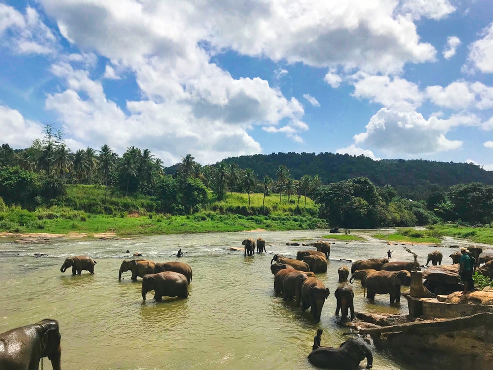 Bezienswaardigheden Sri Lanka , HD Wallpaper & Backgrounds