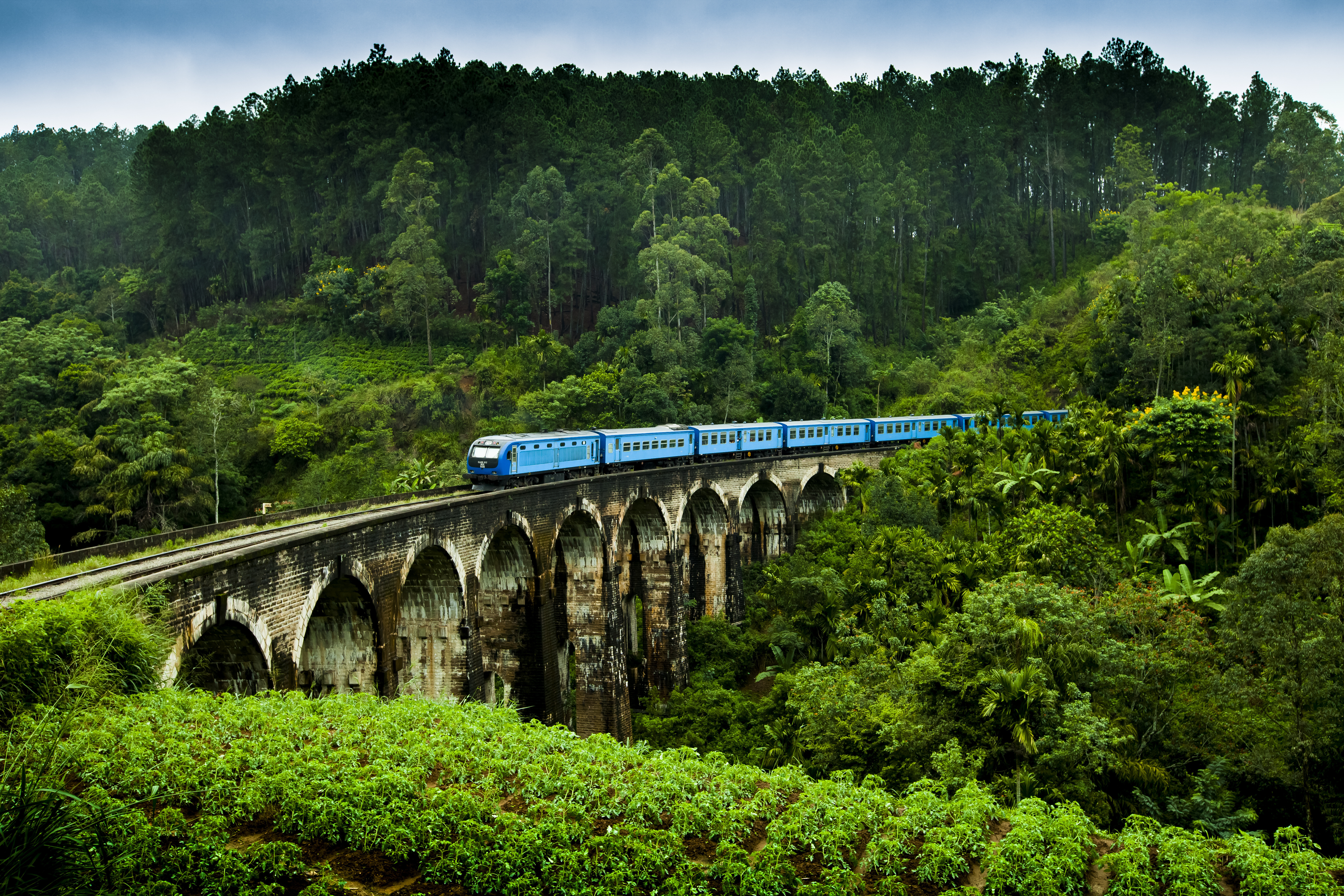 Up Country Sri Lanka , HD Wallpaper & Backgrounds