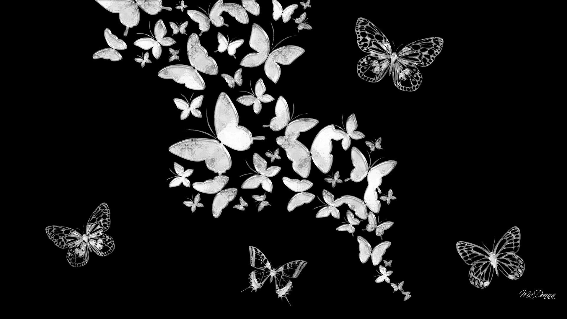 Black And Grey Butterfly , HD Wallpaper & Backgrounds