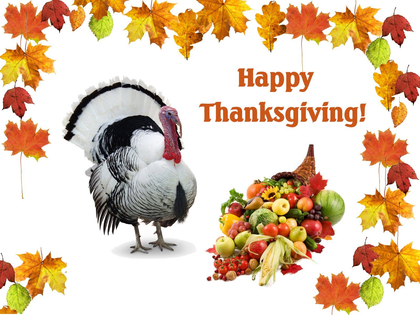 Thanksgiving 2013 , HD Wallpaper & Backgrounds