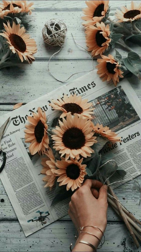 Fondos De Pantalla Tumblr Girasoles , HD Wallpaper & Backgrounds