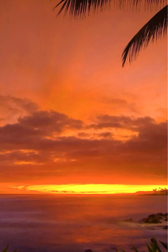 Tropical Sunset , HD Wallpaper & Backgrounds