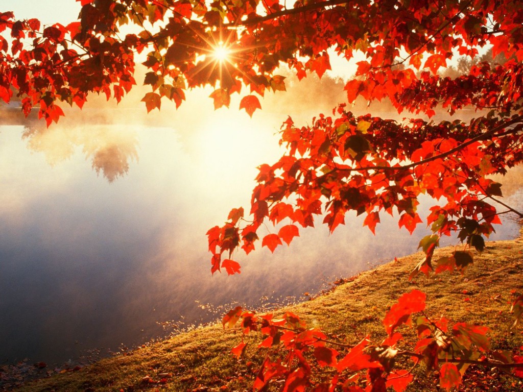 Autumn Leaves , HD Wallpaper & Backgrounds
