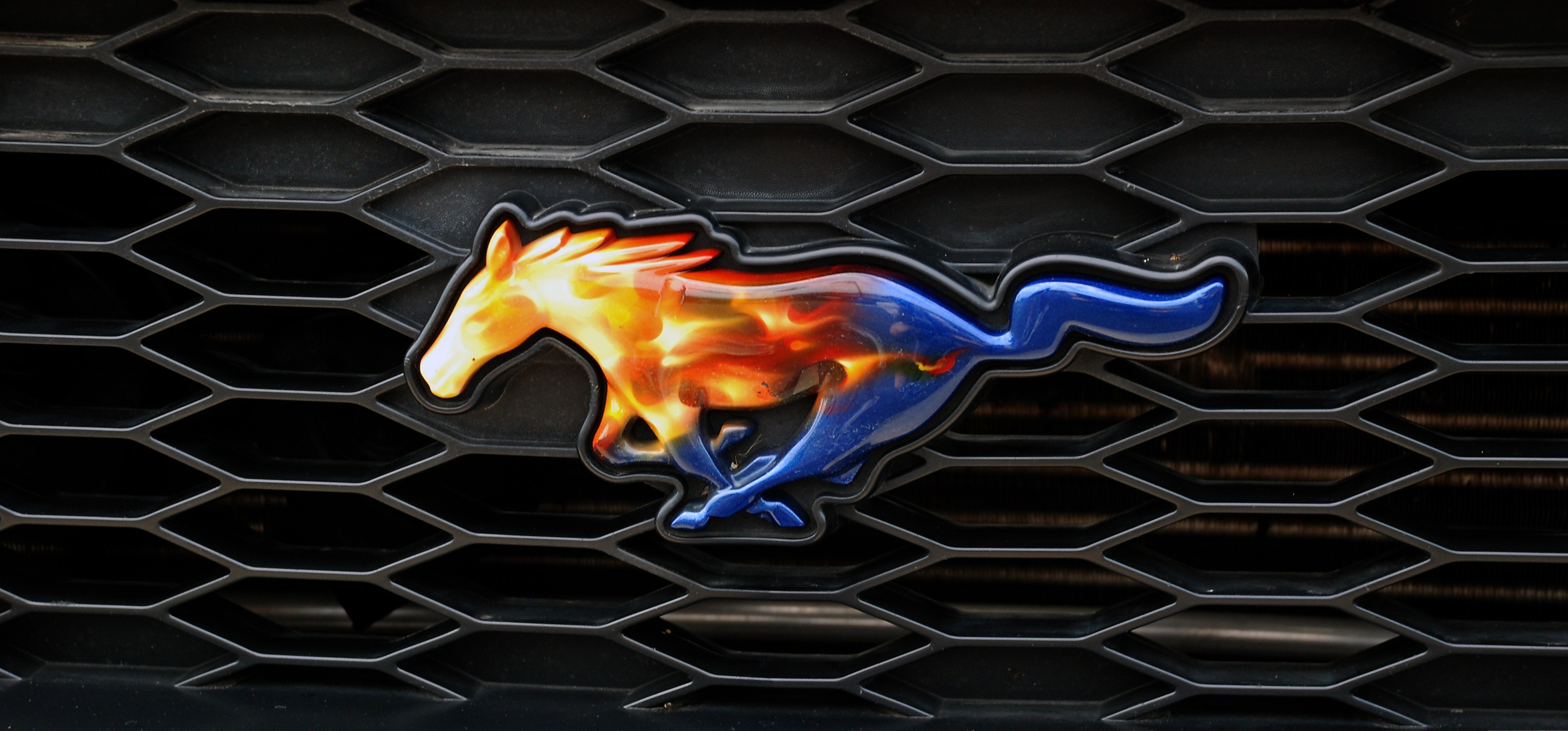 Mustang Logo Wallpaper Desktop , HD Wallpaper & Backgrounds