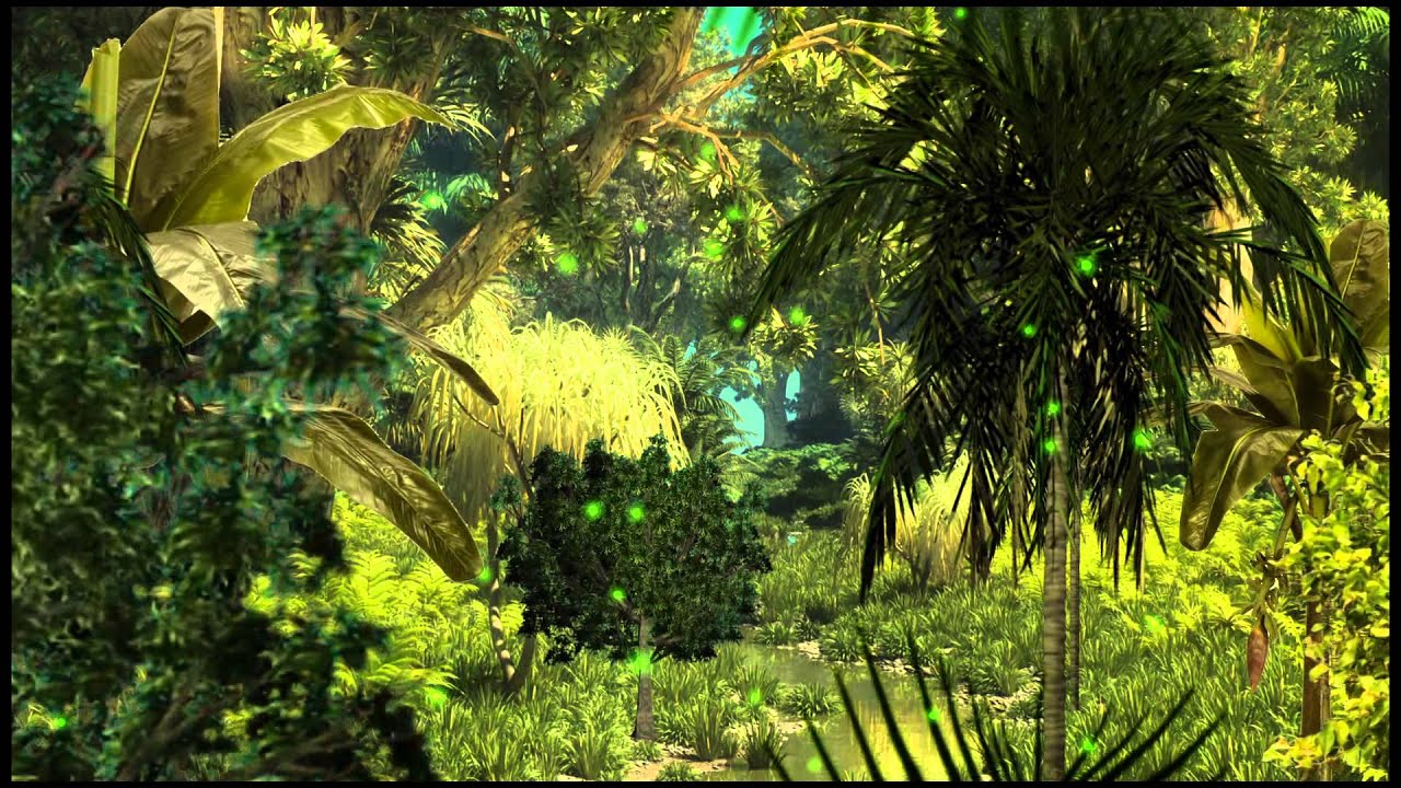 Jungle Background , HD Wallpaper & Backgrounds