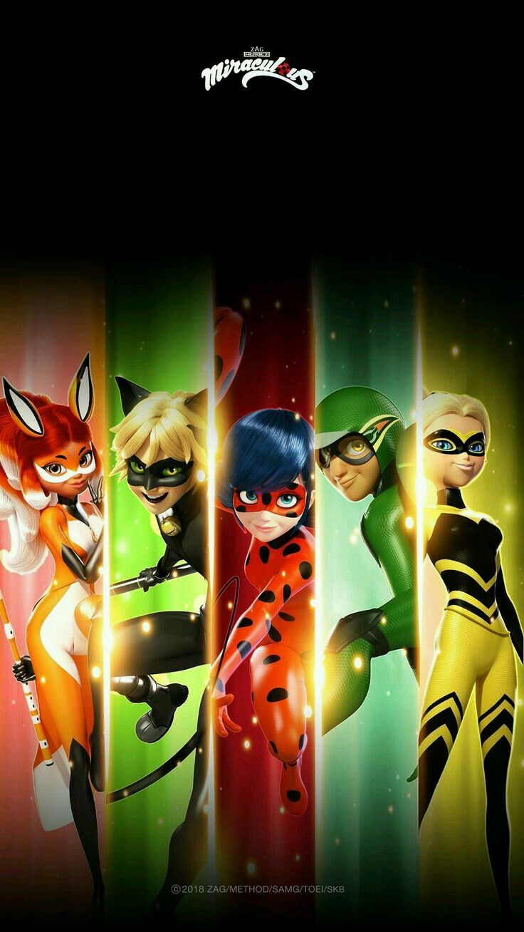 Miraculous Ladybug All Superheroes , HD Wallpaper & Backgrounds