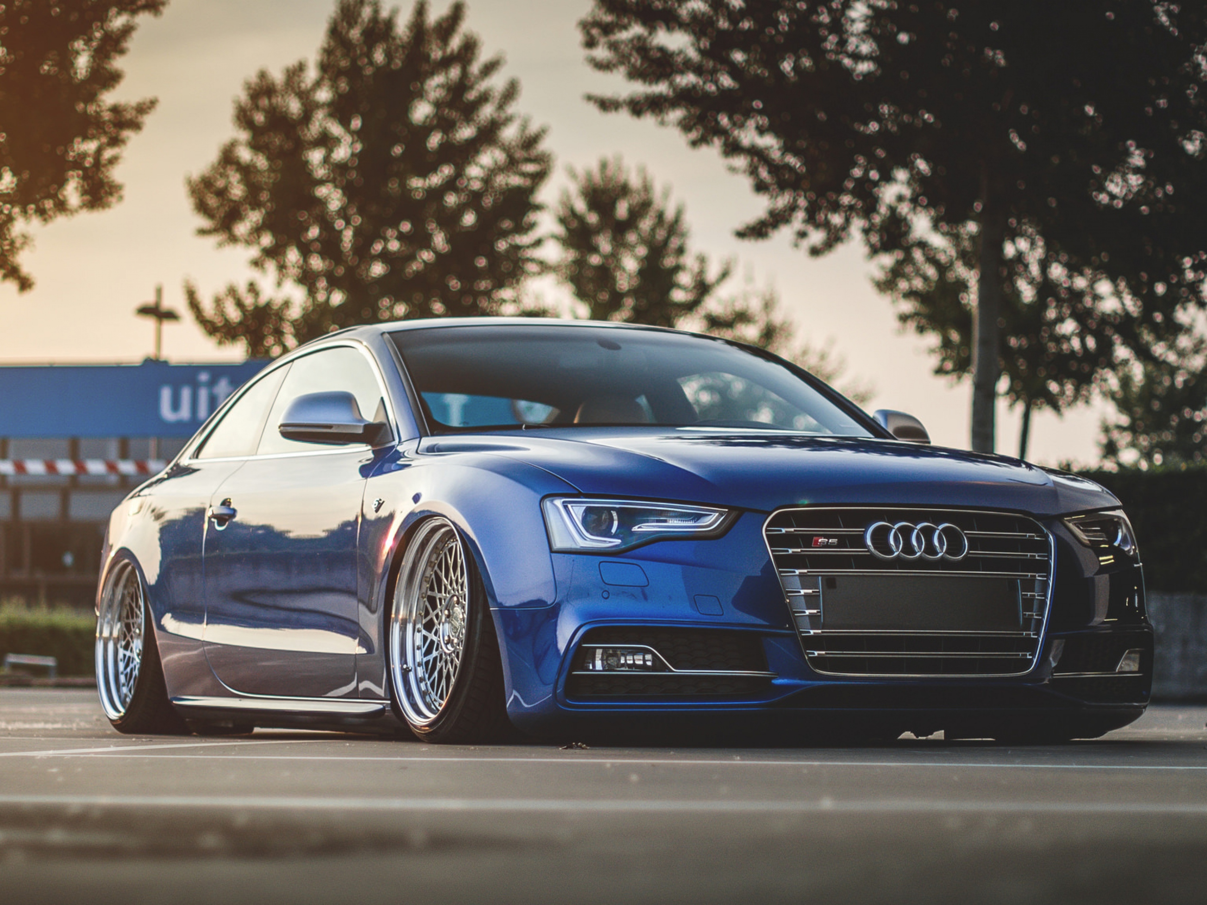 Audi S5 , HD Wallpaper & Backgrounds