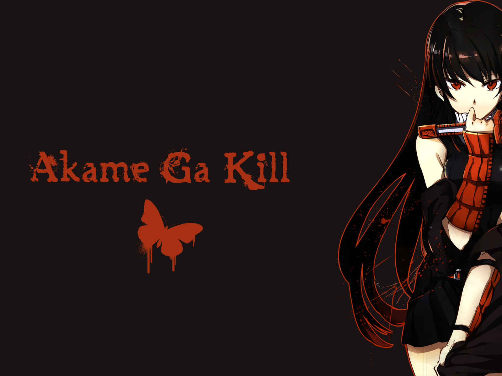Anime Arts Akame Ga Kill , HD Wallpaper & Backgrounds