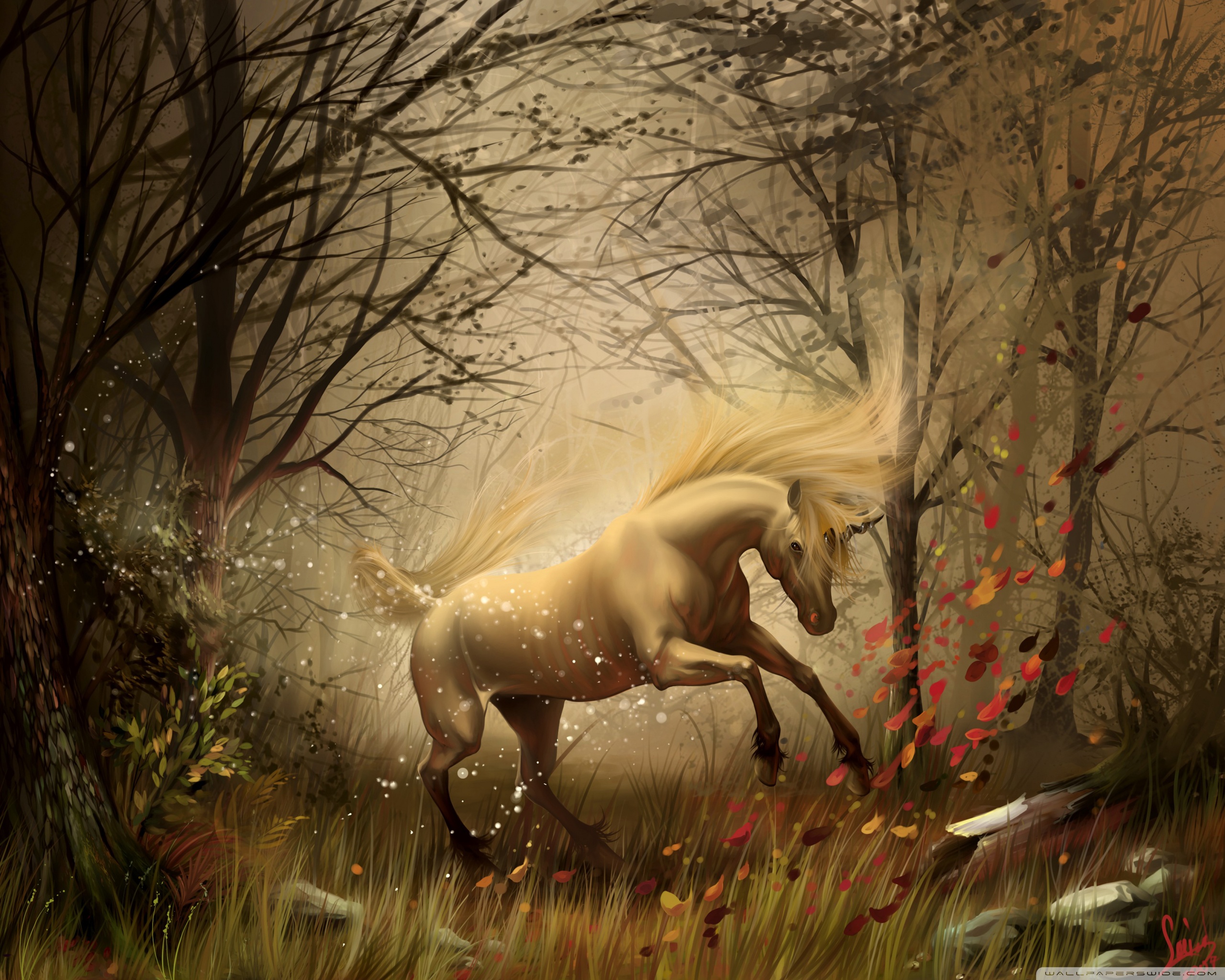 Unicorn In The Woods , HD Wallpaper & Backgrounds