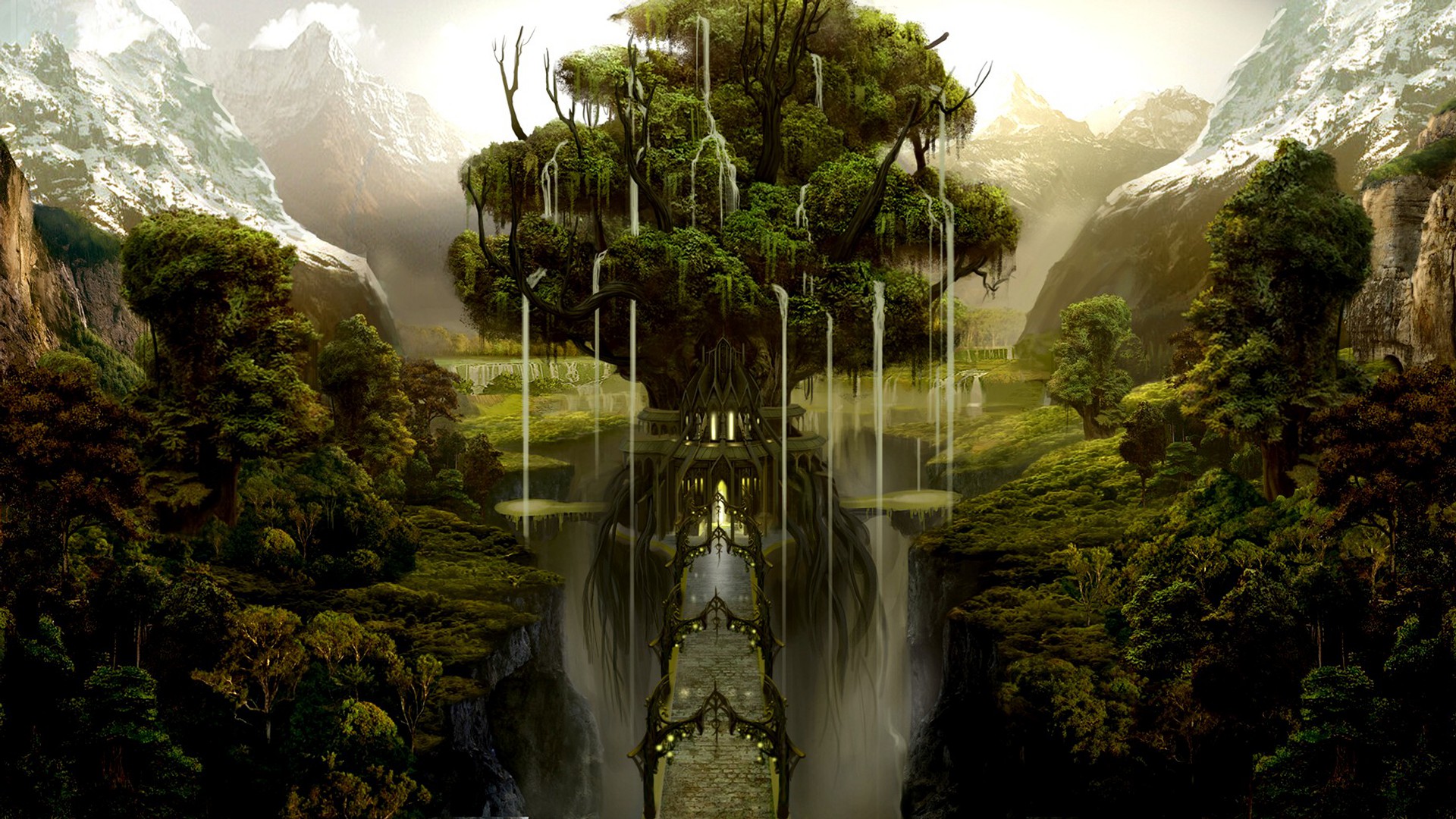 Tree Of Life Forest , HD Wallpaper & Backgrounds